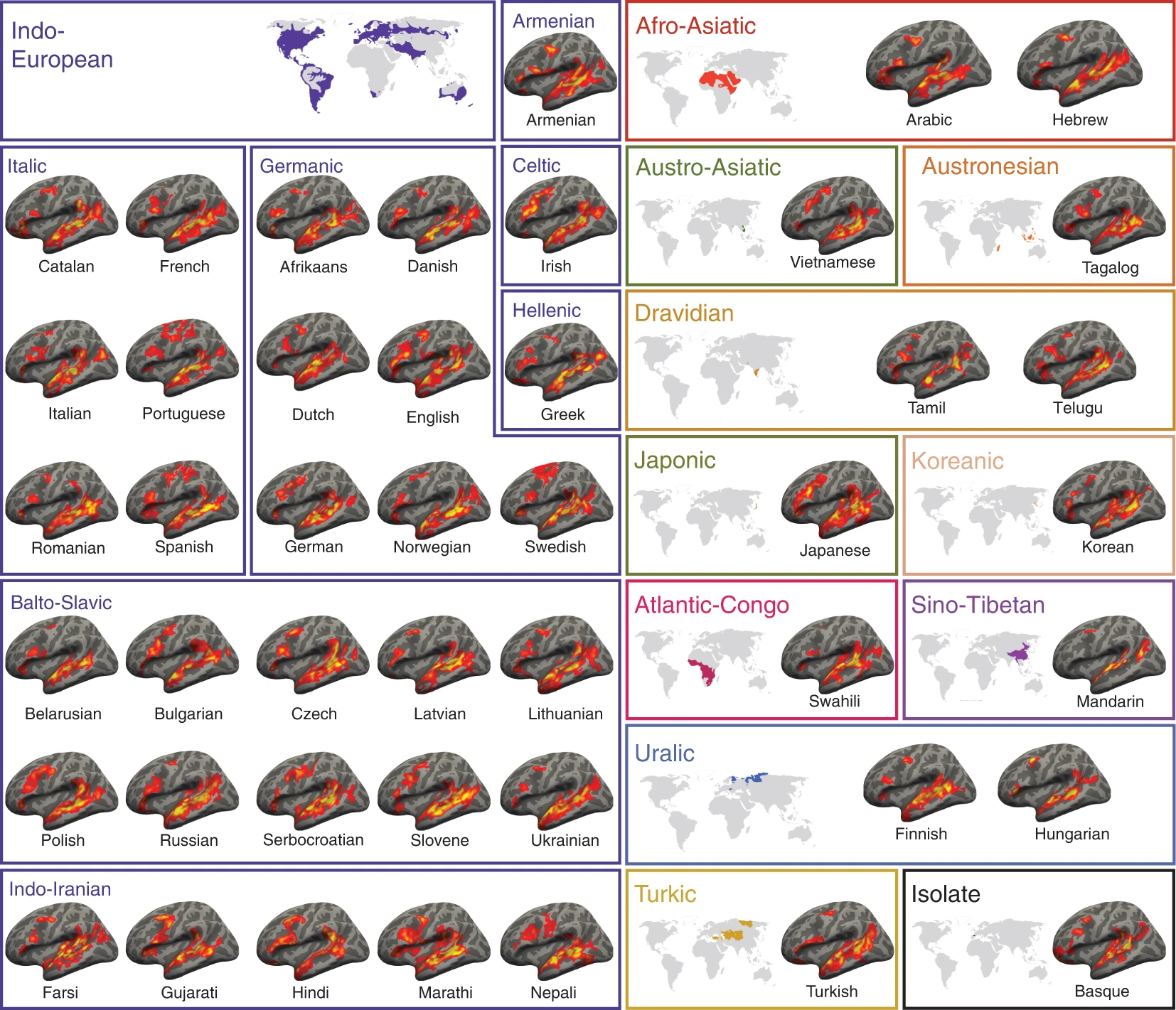 45 languages study